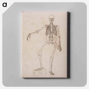 アートパネル-Human Skeleton, Anterior View
 - ジョージ スタッブス Canvas.