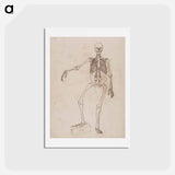 アートポストカード-Human Skeleton, Anterior View
 - ジョージ スタッブス Postcard.