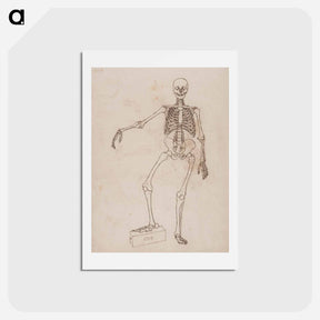 アートポストカード-Human Skeleton, Anterior View
 - ジョージ スタッブス Postcard.