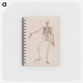 アートメモ帳-Human Skeleton, Anterior View
 - ジョージ スタッブス Memo.