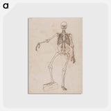 アートポストカード-Human Skeleton, Anterior View
 - ジョージ スタッブス Postcard.