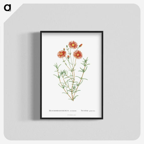 1-39_Histoire-des-Plantes-Grasses_blk-crop