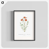 1-39_Histoire-des-Plantes-Grasses_blk