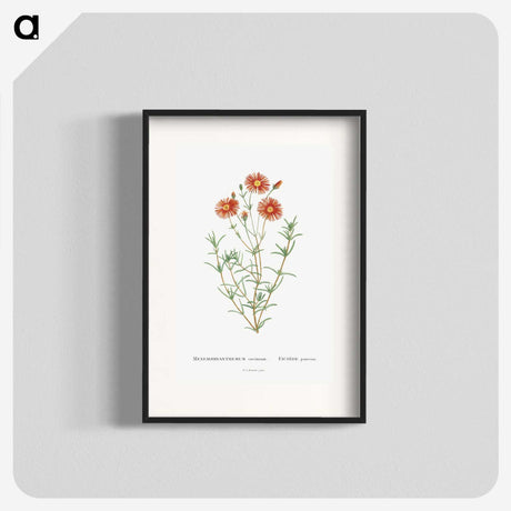 1-39_Histoire-des-Plantes-Grasses_blk