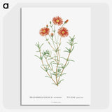 1-39_Histoire-des-Plantes-Grasses_picture-crop