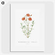 1-39_Histoire-des-Plantes-Grasses_picture
