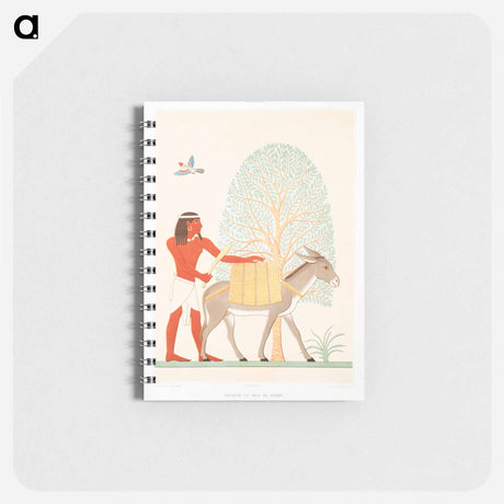 アートメモ帳-Native of the Land of Punt
 - エジプト美術史 Memo.