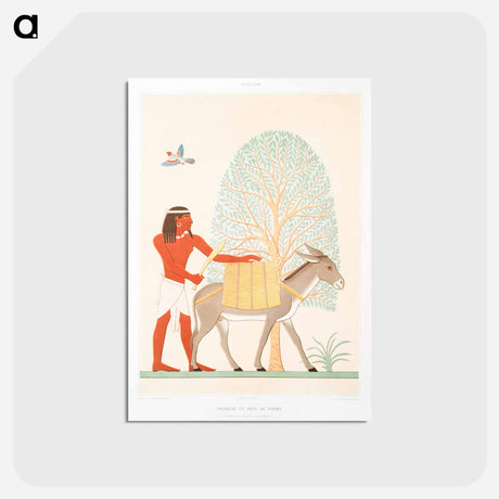 アートポストカード-Native of the Land of Punt
 - エジプト美術史 Postcard.