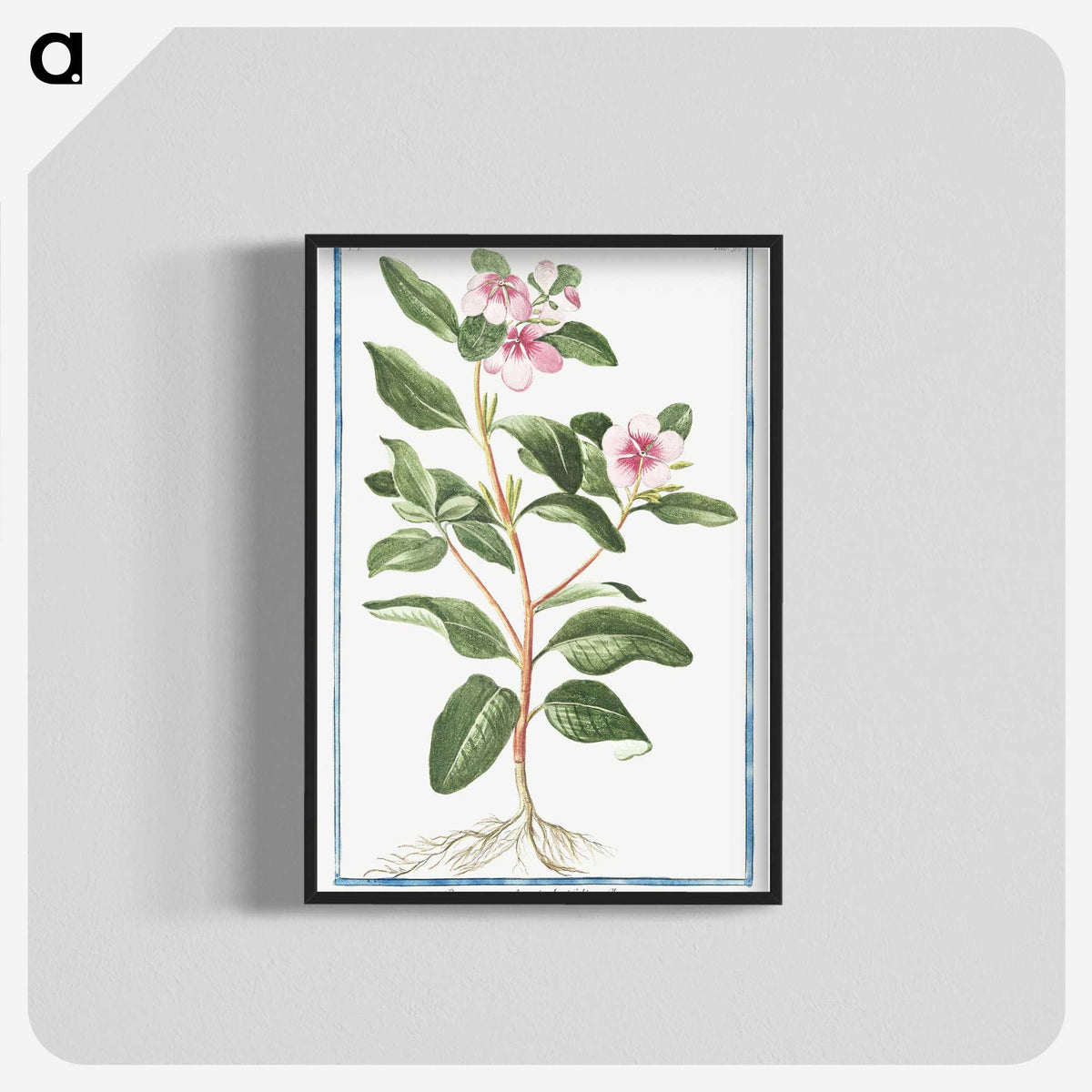 1-39_Hortus-Romanus-Botanical-Plates_blk-crop