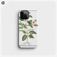 1-39_Hortus-Romanus-Botanical-Plates_phone