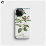1-39_Hortus-Romanus-Botanical-Plates_phone