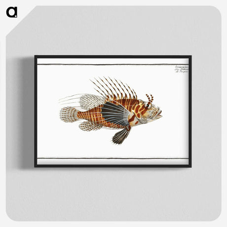 1-39_Ichtyologie-ou-Histoire-naturelle_blk-crop