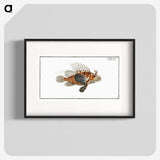 1-39_Ichtyologie-ou-Histoire-naturelle_blk