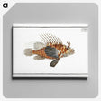 1-39_Ichtyologie-ou-Histoire-naturelle_canvas