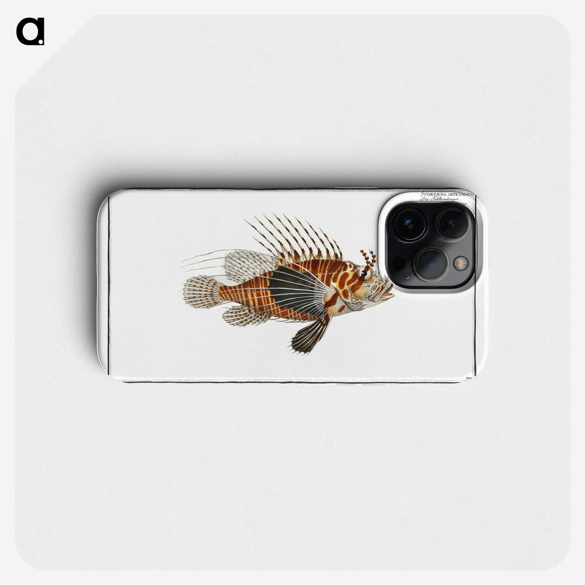 1-39_Ichtyologie-ou-Histoire-naturelle_phone