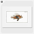 1-39_Ichtyologie-ou-Histoire-naturelle_picture
