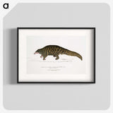 1-39_Indian-Zoology_blk