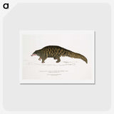 1-39_Indian-Zoology_hagaki