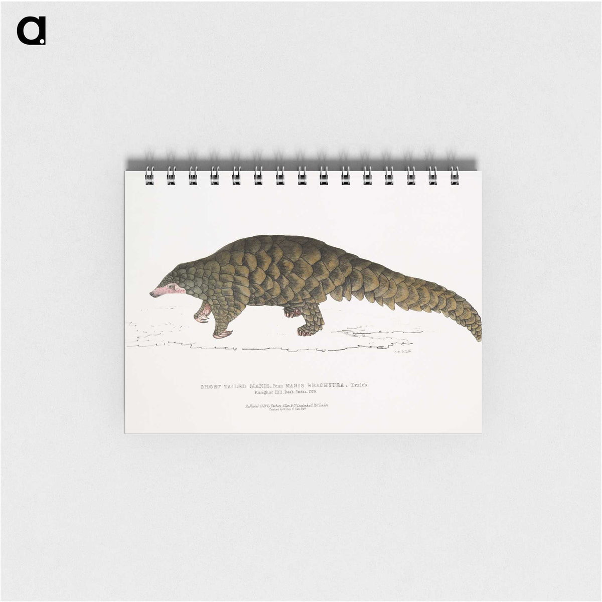 1-39_Indian-Zoology_memo