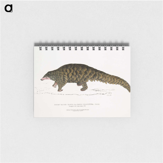 1-39_Indian-Zoology_memo