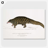 1-39_Indian-Zoology_picture-crop