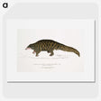 1-39_Indian-Zoology_picture