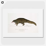1-39_Indian-Zoology_picture