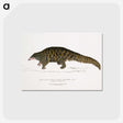 1-39_Indian-Zoology_postcard