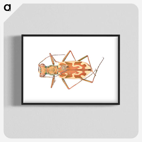 1-39_Insects-Unlocked-Project_blk-crop