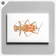 1-39_Insects-Unlocked-Project_canvas