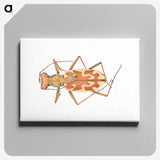 1-39_Insects-Unlocked-Project_canvas