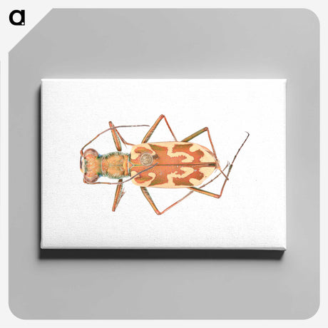 1-39_Insects-Unlocked-Project_canvas