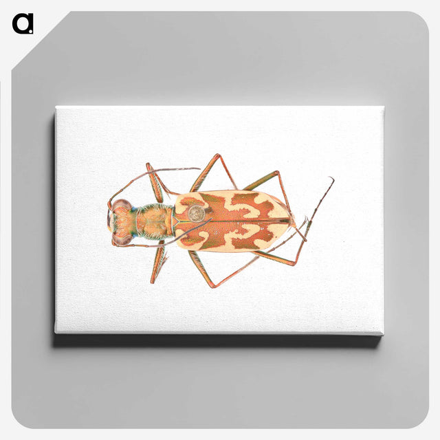 1-39_Insects-Unlocked-Project_canvas