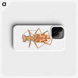 1-39_Insects-Unlocked-Project_phone