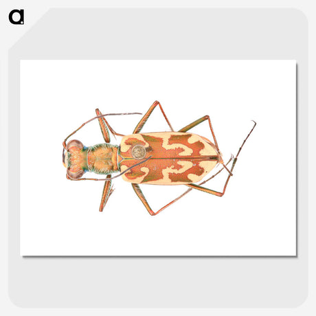 1-39_Insects-Unlocked-Project_picture-crop
