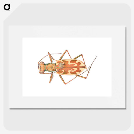 1-39_Insects-Unlocked-Project_picture