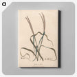 1-39_James-Heath_canvas