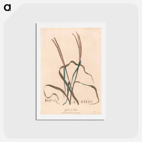 アートポストカード-Geshe el Aube
 - ジェームス ヒース Postcard.