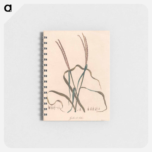 Geshe el Aube
 - ジェームス ヒース Memo.