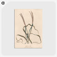 1-39_James-Heath_postcard