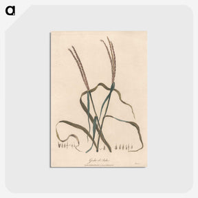 1-39_James-Heath_postcard