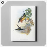 1-39_John-Gould_canvas