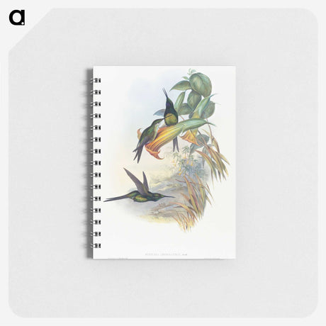 1-39_John-Gould_memo