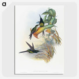 1-39_John-Gould_picture-crop
