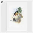 1-39_John-Gould_picture
