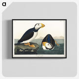 1-39_John-James-Audubon_blk-crop