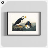 1-39_John-James-Audubon_blk