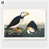 1-39_John-James-Audubon_picture-crop