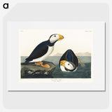 1-39_John-James-Audubon_picture