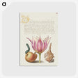 1-39_Joris-Hoefnagel_postcard